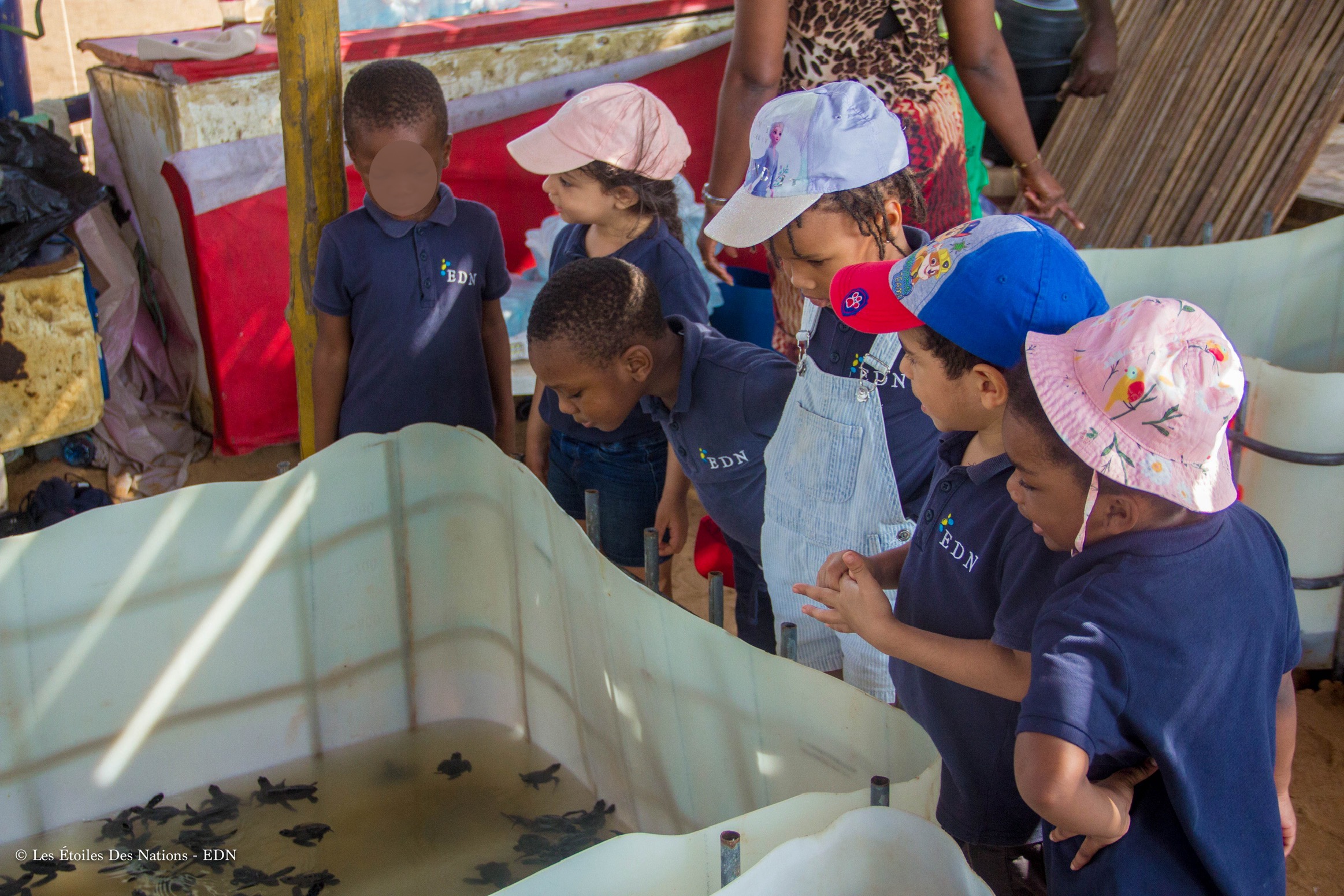 Sortie pédagogique à l&rsquo;EDN : lâcher de tortues à la plage Eldorado